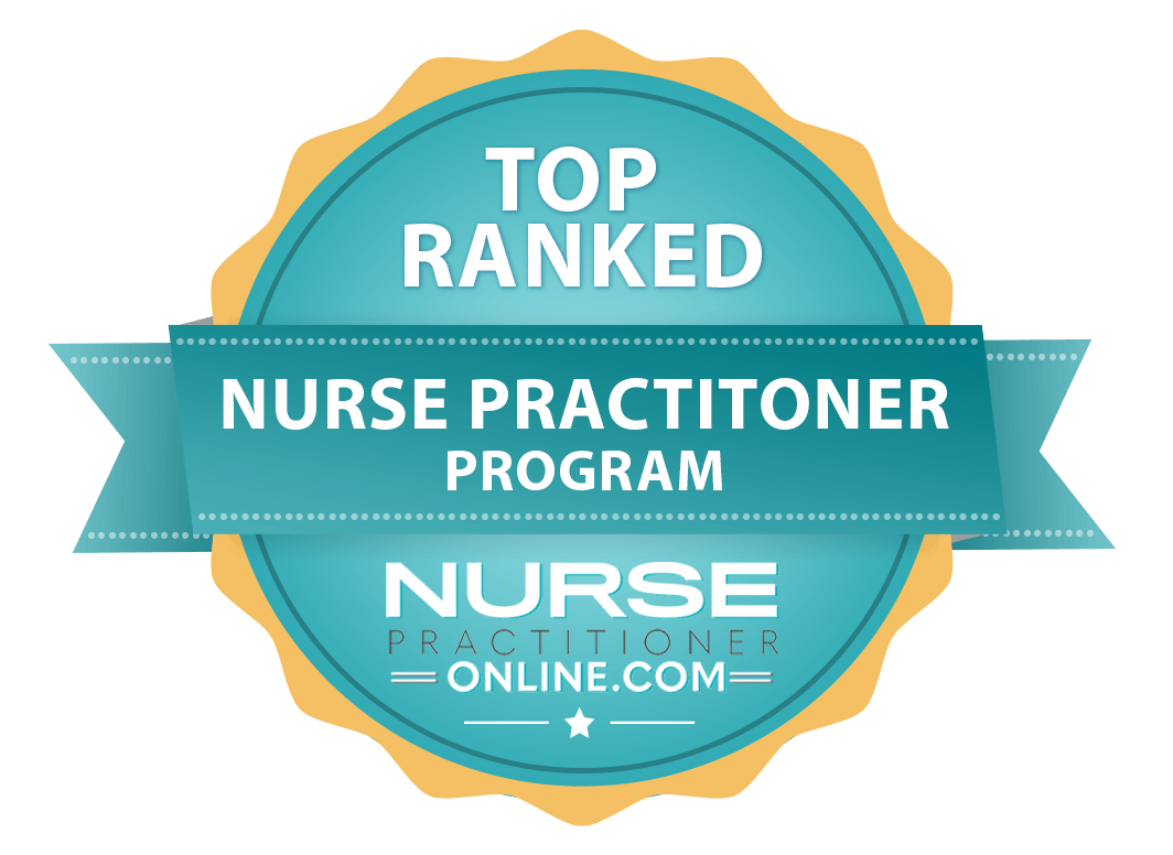 nurse practitioner online program icon
